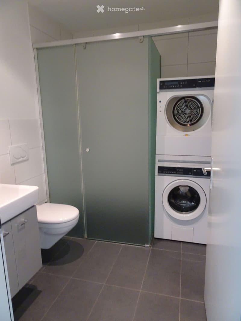 Modern bathroom with a toilet, washing machine, and a glass shower enclosure.