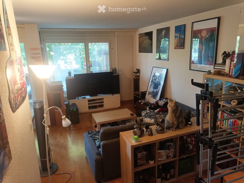 Bright living room with wooden flooring, large windows, a sofa, coffee table, TV stand, bookshelf, floor lamp, table lamp, and decorative statues.