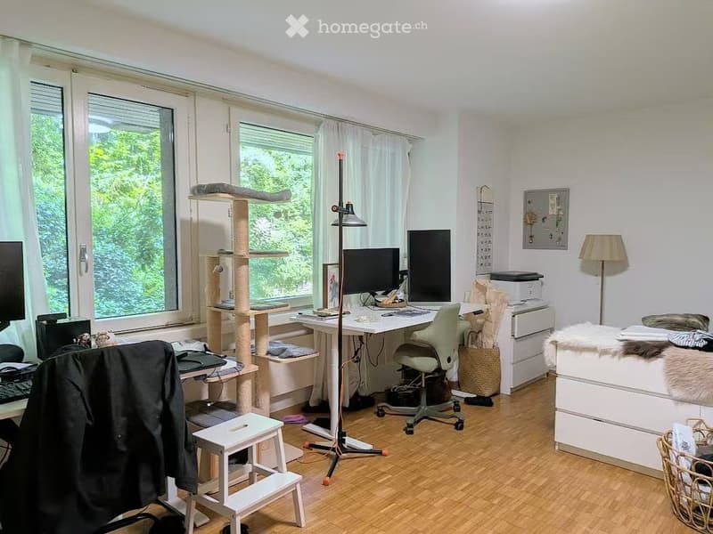 Bright room with large windows, cat tree, desk with computer, chair, lamp, and various storage items.