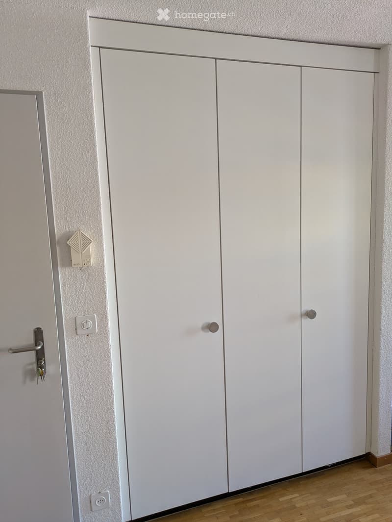 Empty hallway with white walls, wooden floor, and white cabinet doors.