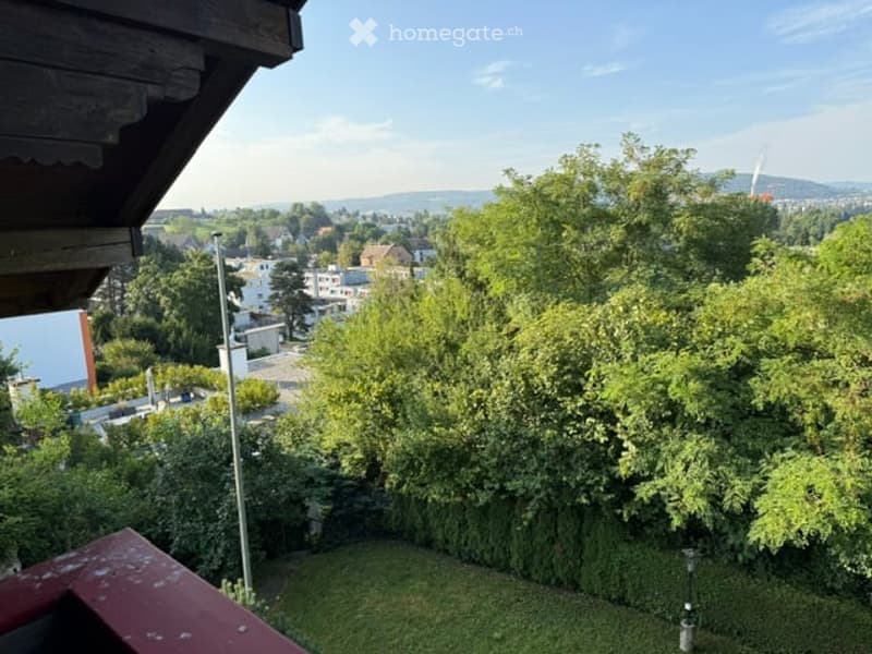 View from a rooftop terrace showing a lush garden area with trees, a clear sky, and a distant cityscape with buildings and hills.