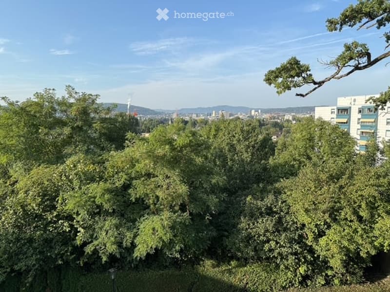 A lush green garden with dense trees and a panoramic view of a city skyline in the background.