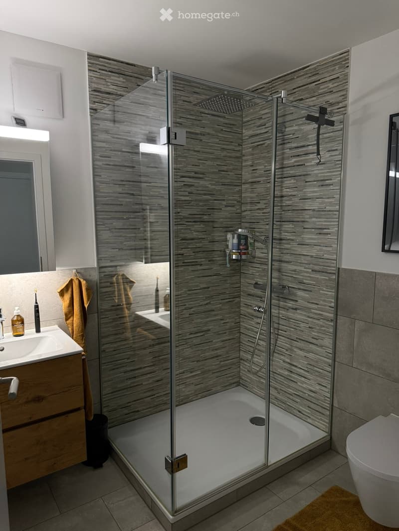 Modern bathroom with a glass-enclosed shower, wooden vanity with sink, and a toilet. The shower features a rainfall showerhead and a handheld sprayer. The vanity has a mirror and a small shelf with toiletries.
