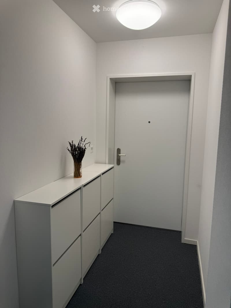 A modern hallway with white walls, grey carpet, a closed door, a small cabinet with a vase of dried flowers, and a round ceiling light.