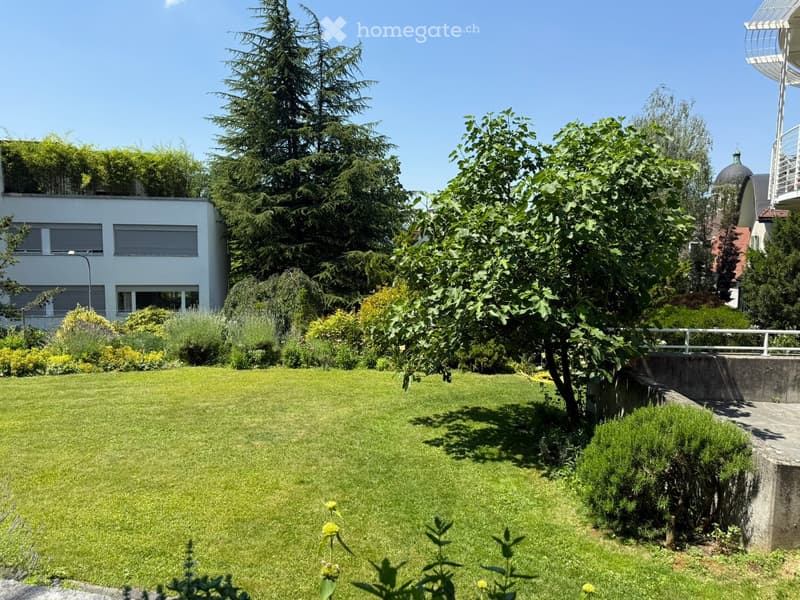 Well-maintained garden with a large lawn, various trees, shrubs, and a modern building in the background.