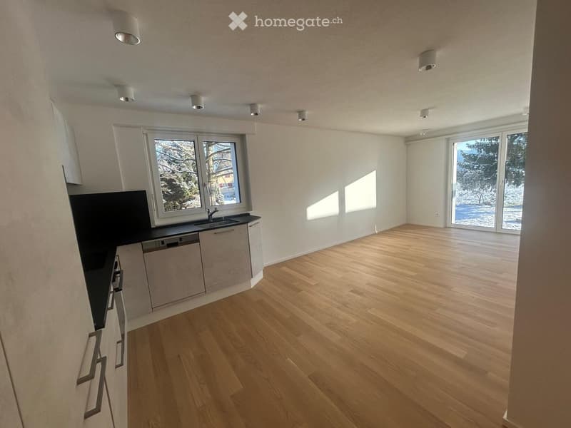 Open-plan unfurnished room with light wooden flooring, white walls, and large windows. Features a small kitchen area with cabinets and a sink, and a sliding glass door leading to an outdoor area.