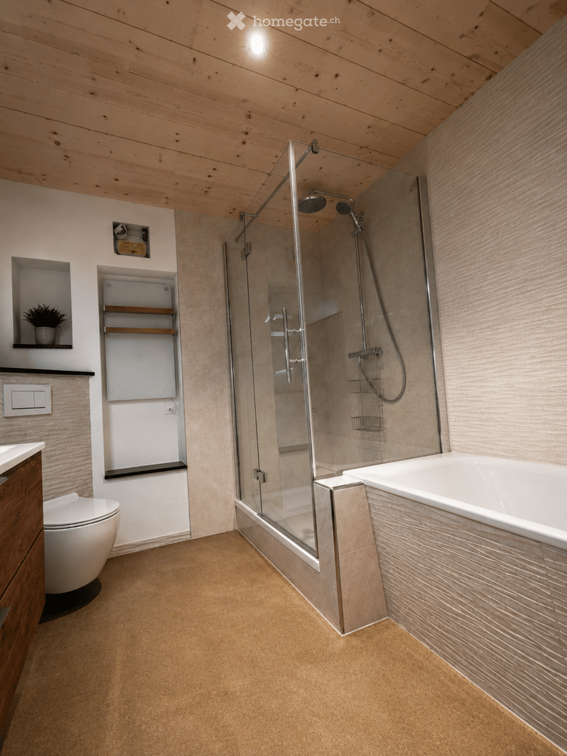 Modern bathroom with wooden ceiling, glass-enclosed shower, bathtub, toilet, built-in shelves, and a small potted plant on a shelf.