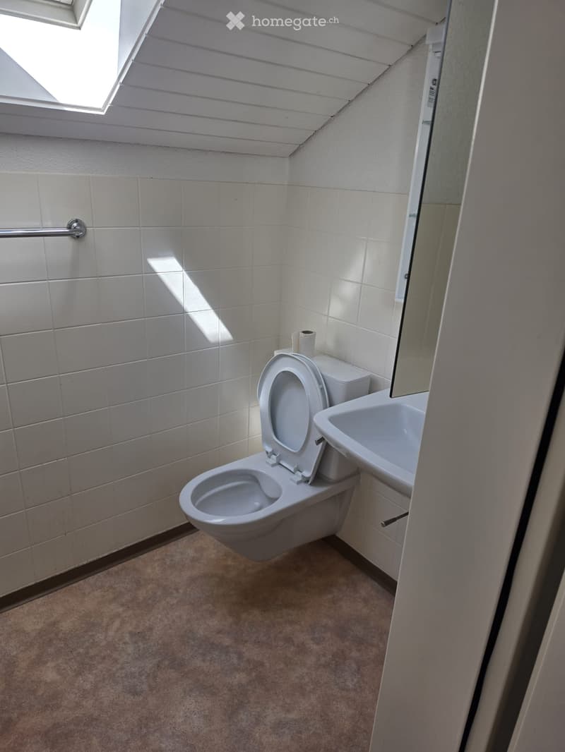 Small bathroom with white tiled walls, a toilet, a sink, and a mirror. Natural light streams in from a skylight above.