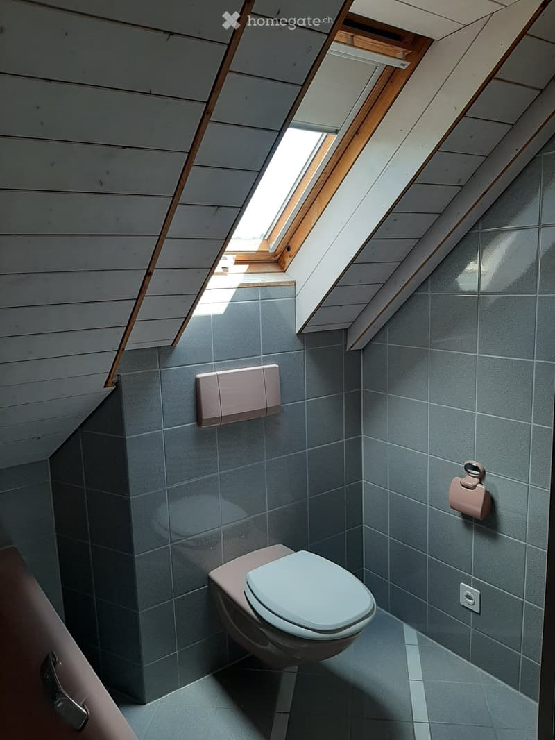 Modern bathroom with grey tiled walls and floor, a toilet, a light switch, and a toilet paper holder. The room features a skylight window with wooden framing, allowing natural light to enter.