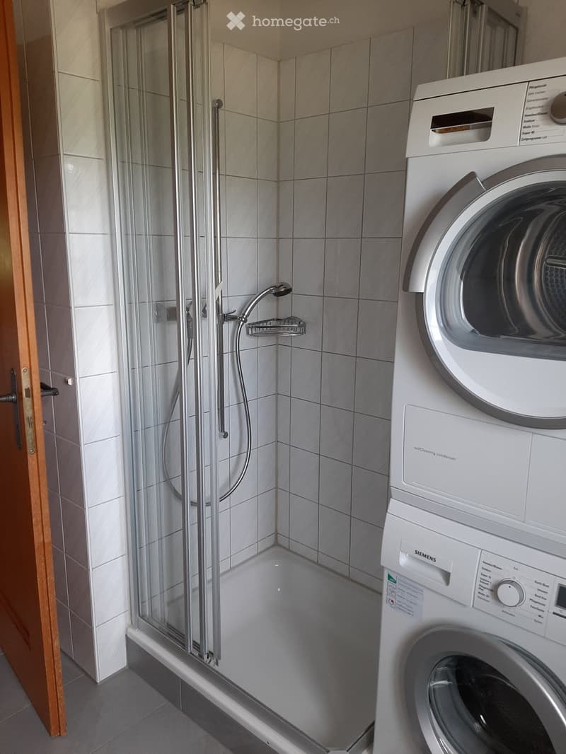 Modern bathroom with a glass-enclosed shower and a stacked washing machine and dryer unit.