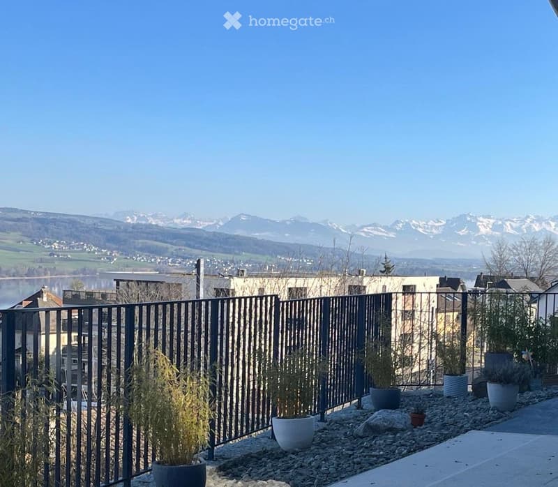 Balcony with a metal fence, potted plants, and a scenic mountain view in the background.