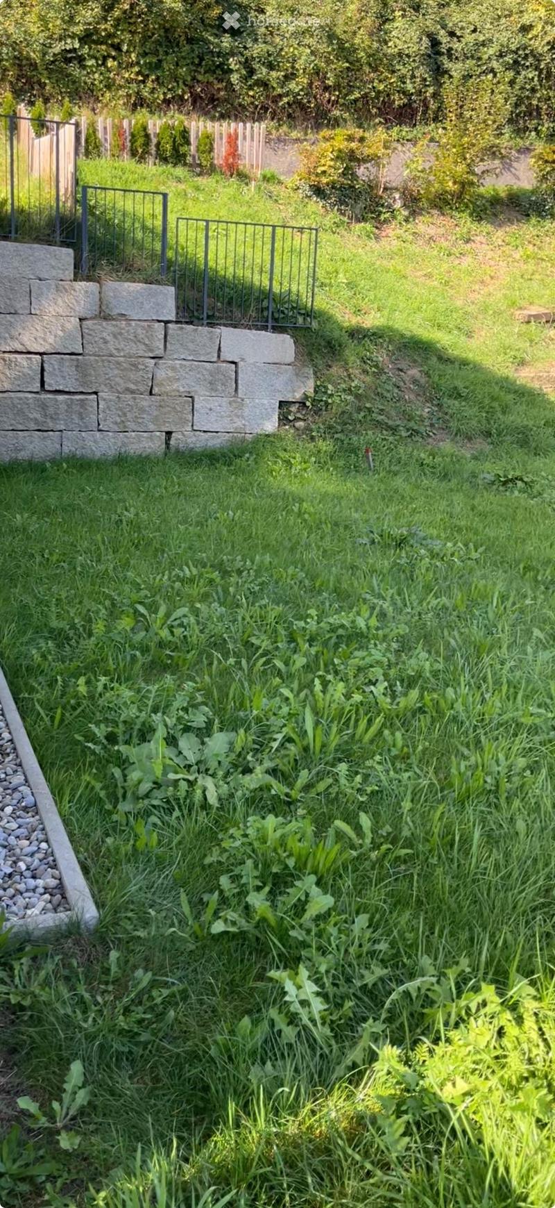 A garden area with a stone retaining wall, metal fence, and lush green grass and plants.