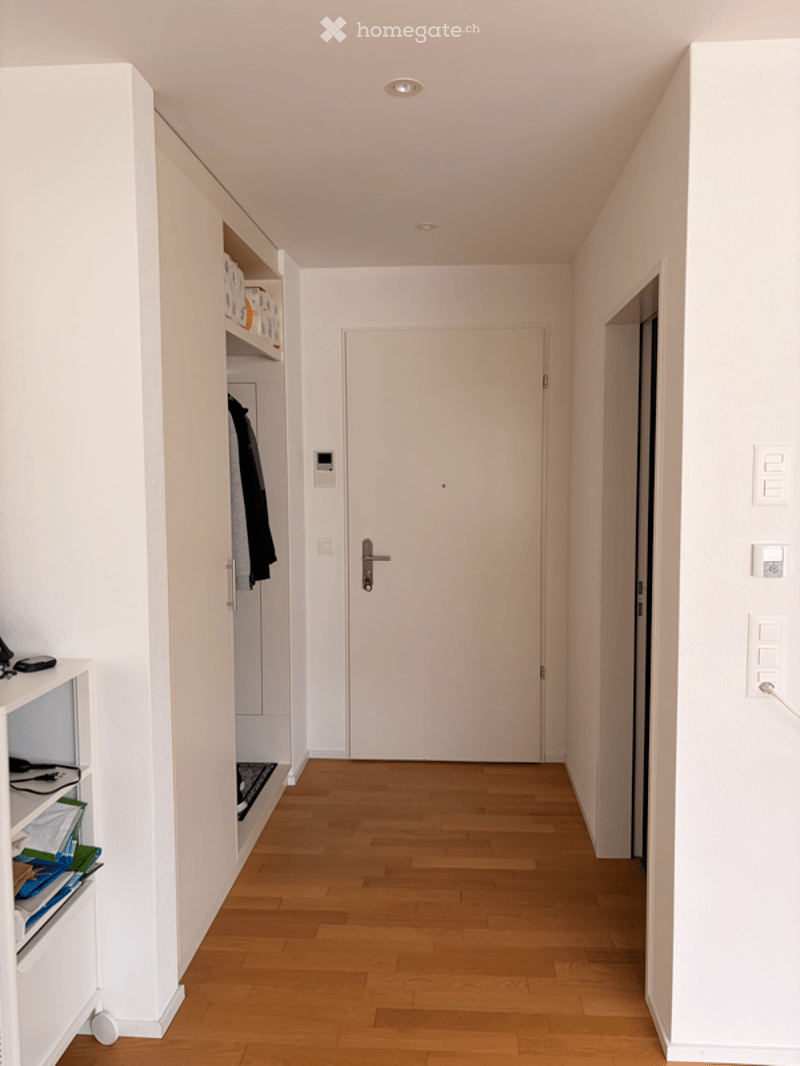 A clean, modern hallway with light wooden flooring, white walls, and built-in storage units. A closed door is visible at the end of the hallway.