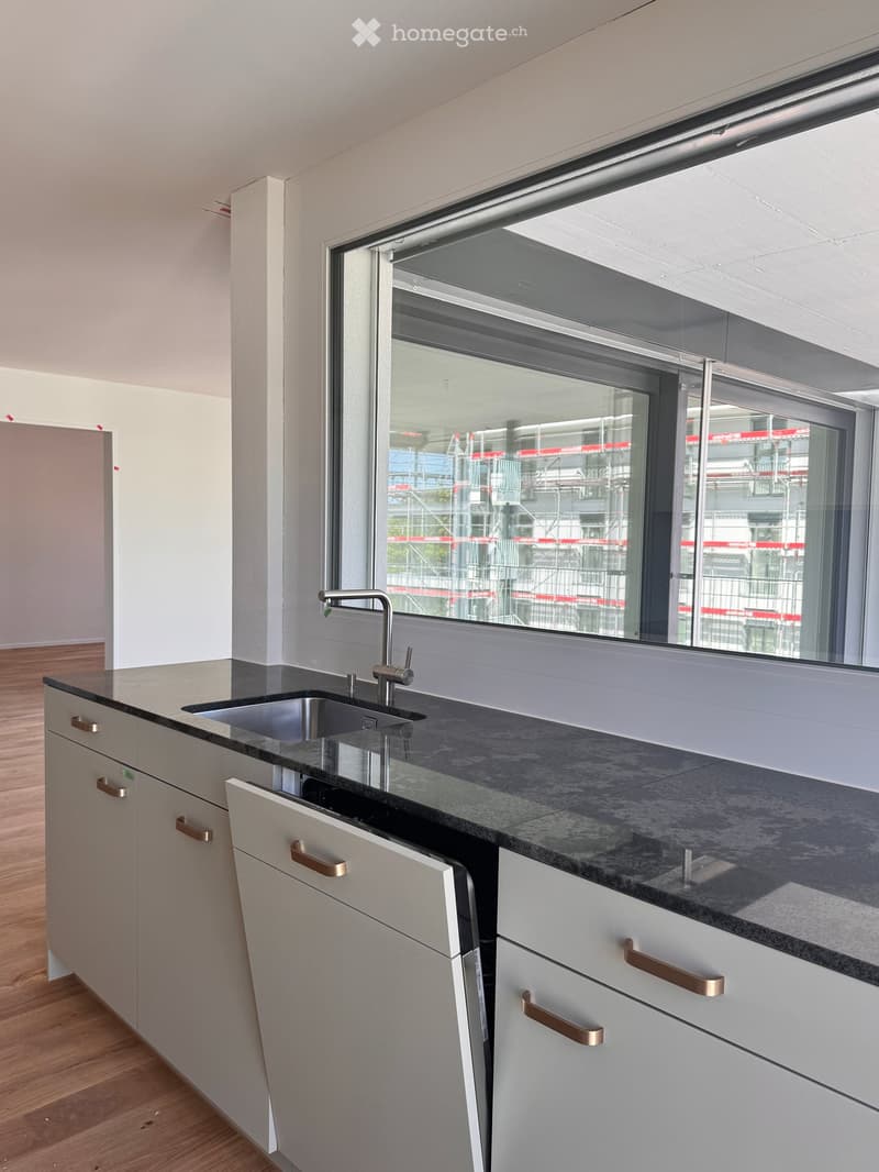 Kitchen. Modern kitchen with granite countertops, stainless steel sink, and brass handles on cabinets.