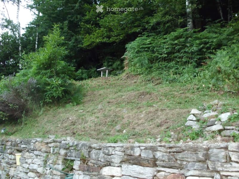 A grassy hillside bordered by a stone wall, with trees and shrubs in the background and a small structure on the upper part of the slope.