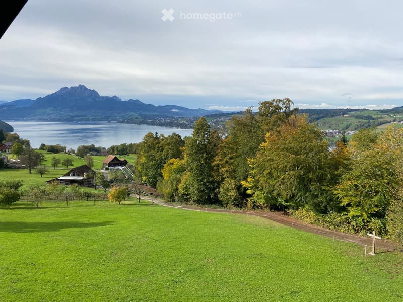 A panoramic view of a lush green field with trees, a small house, and a distant lake surrounded by mountains.