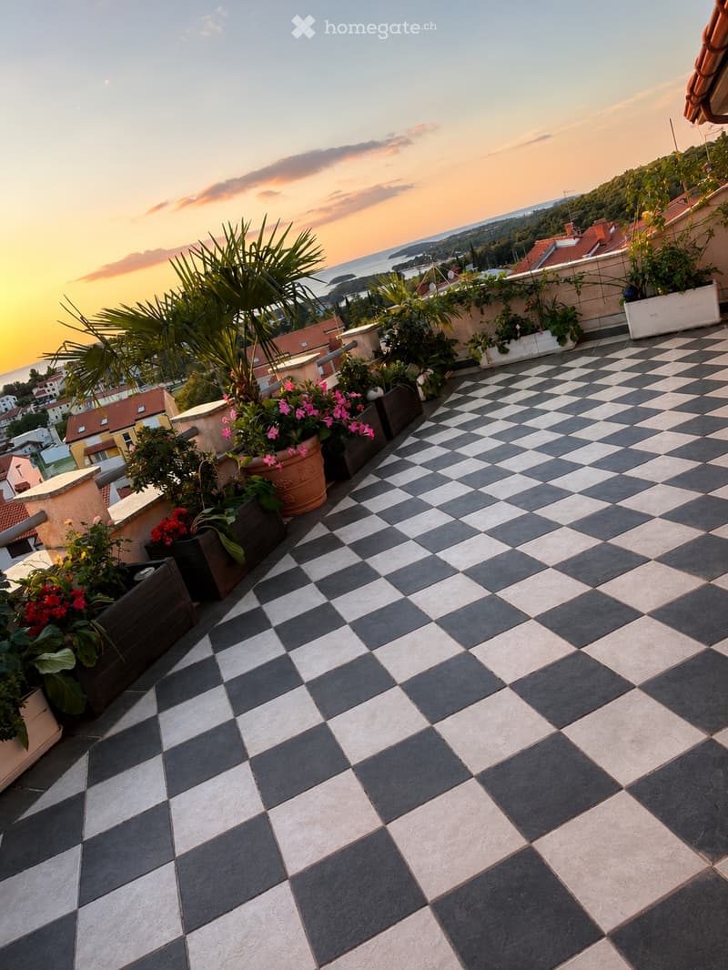 A rooftop terrace with a black and white checkered floor, potted plants, and a scenic view of the sea and surrounding landscape at sunset.