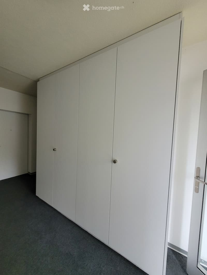Unfurnished Room. Empty room with white built-in cabinets and grey carpeted floor.