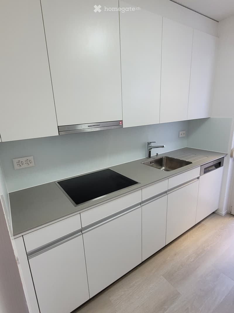 Kitchen. Modern kitchen with white cabinets, light grey countertops, stainless steel sink, induction stove, and built-in dishwasher.