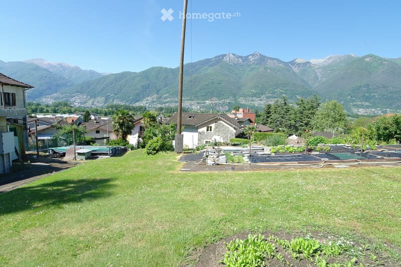 A well-maintained garden with a grassy lawn, small vegetable beds, and a swimming pool surrounded by trees and houses, with a scenic mountain backdrop.