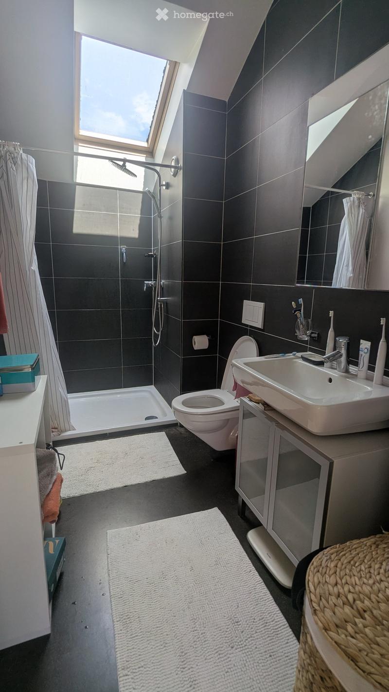 Modern bathroom with dark tiled walls, a large skylight window, a shower area, a sink with a mirror, a toilet, and a small cabinet. The floor is dark grey with white rugs.