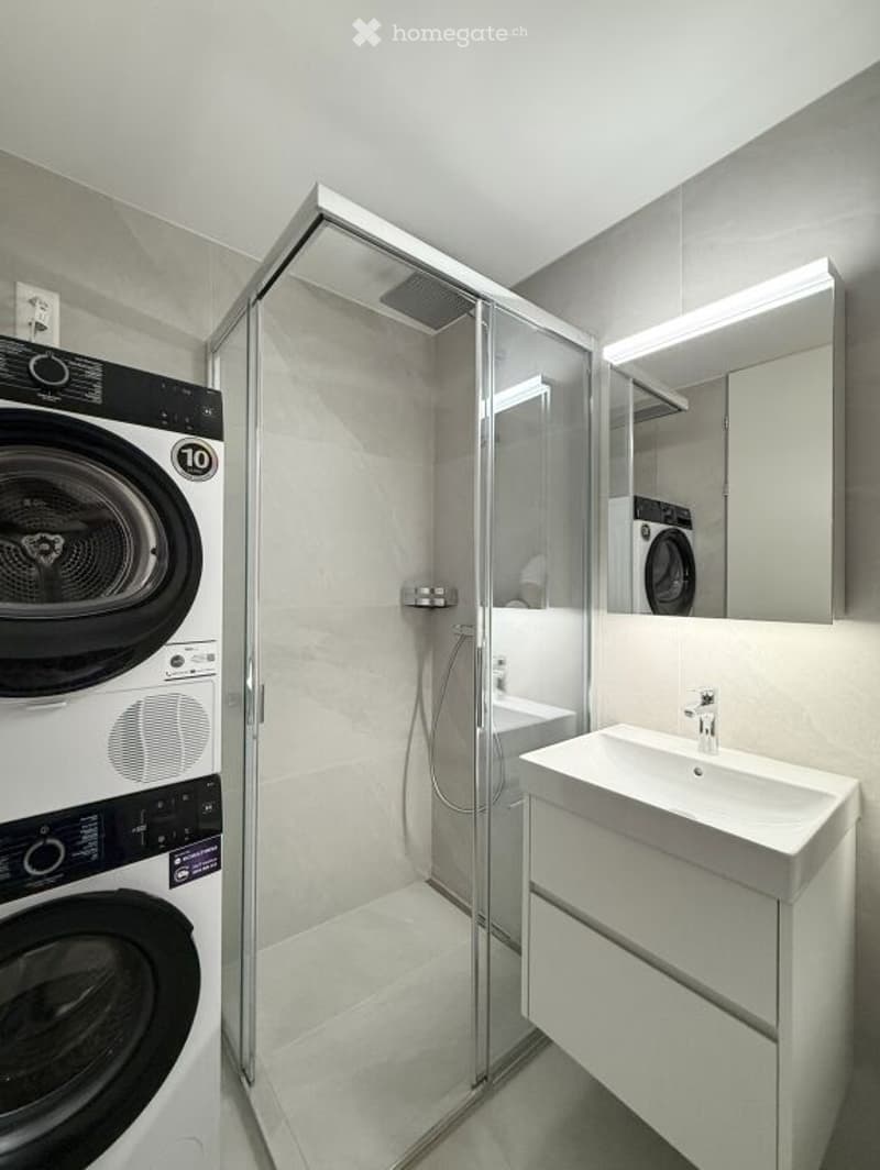 Modern bathroom with a glass-enclosed shower, a white sink with a mirror, and a washing machine in the corner.