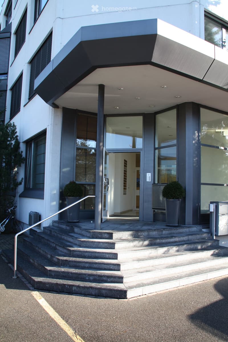 Modern building entrance with concrete steps, glass doors, and potted plants on either side.
