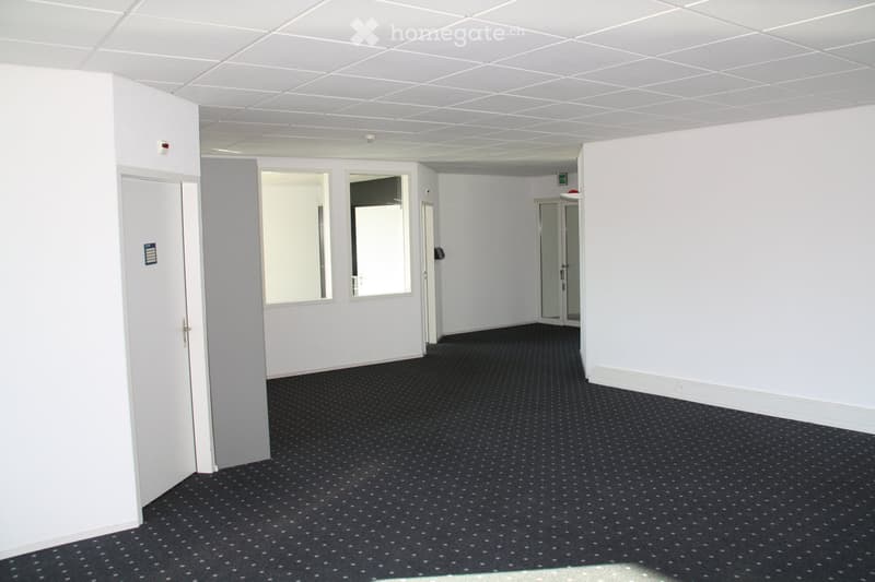 Empty room with white walls, black carpet, and several doors and windows. No furniture or equipment present.