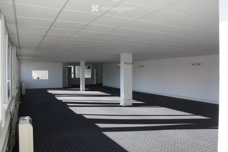 Empty room with white walls, carpeted floor, large windows, and white ceiling panels. No furniture or equipment visible.