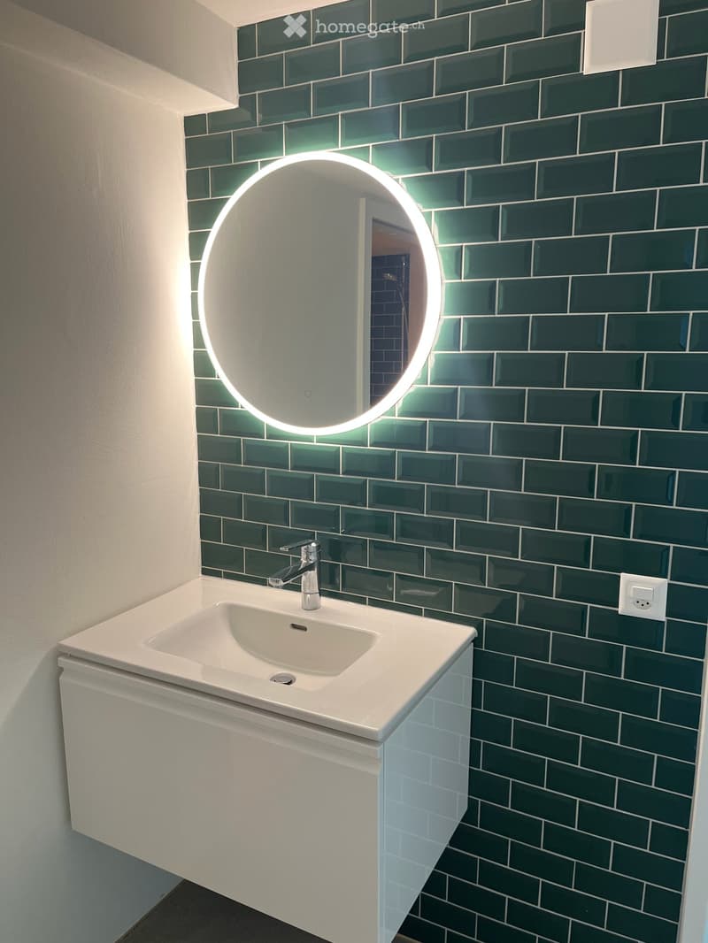 3.5-Zimmer-Loft-Wohnung in Langnau am Albis (12)