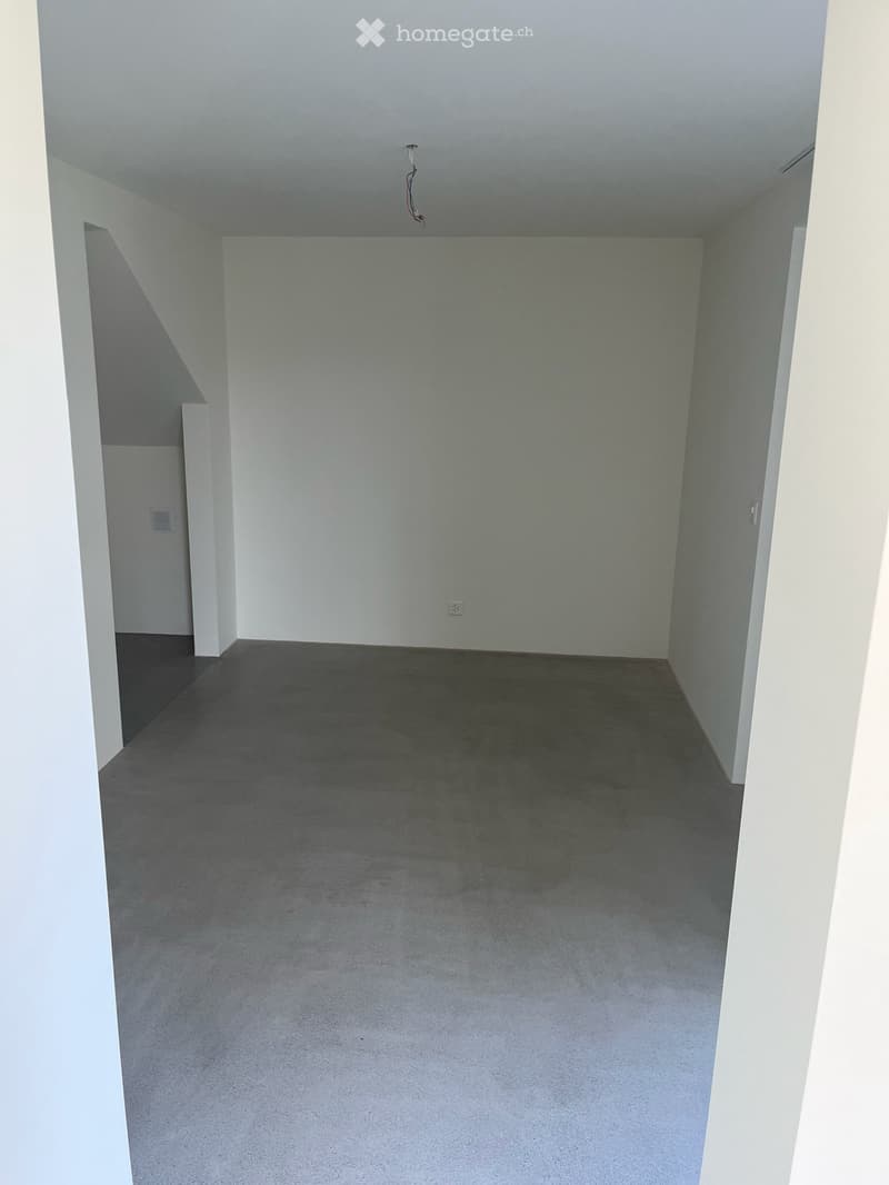 3.5-Zimmer-Loft-Wohnung in Langnau am Albis (7)