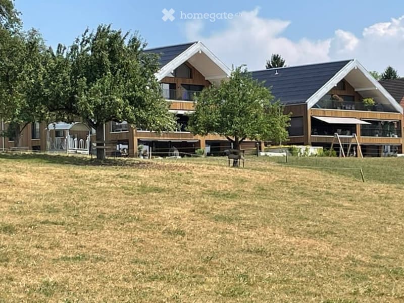 Modern two-story house with a dark roof and light-colored walls, surrounded by a grassy field and trees.