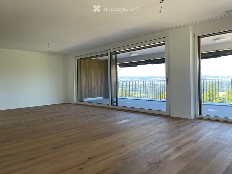 traumhafte Aussicht, Abendsonne, an Landwirtschaftszone, grosser Balkon (5)