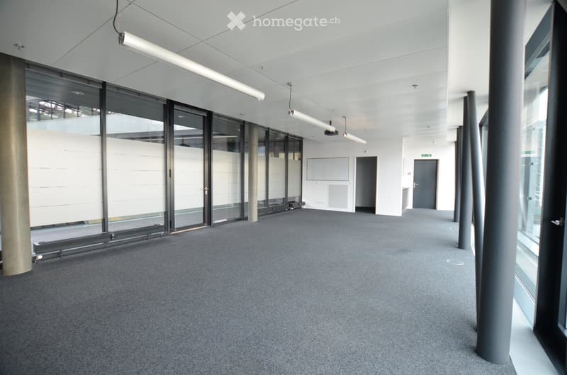 Modern, empty corridor with grey carpeted floor, white walls, large glass partitions, and fluorescent lighting.