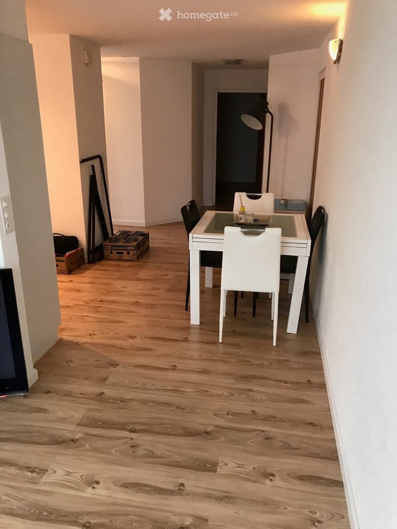 Schöne und grosse 2.5 Zi.-Einliegerwohnung: Küche, Bad, Sitzplatz, Waschmaschine/Tumbler (4)