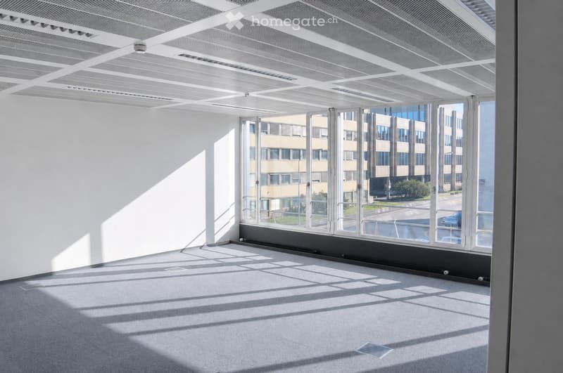 Empty room with white walls, grey carpet, large windows, and modern ceiling design. No furniture or equipment present.
