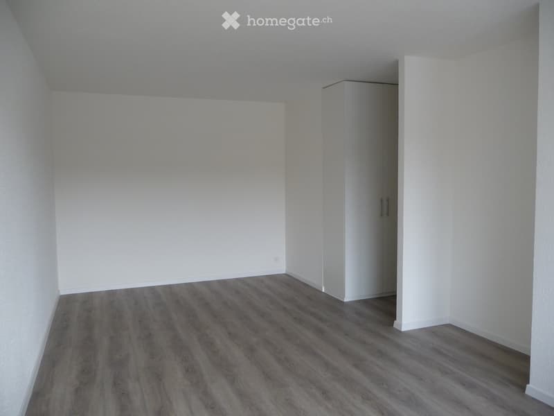 Empty room with light-colored walls and grey wooden flooring, featuring a built-in closet with white doors.