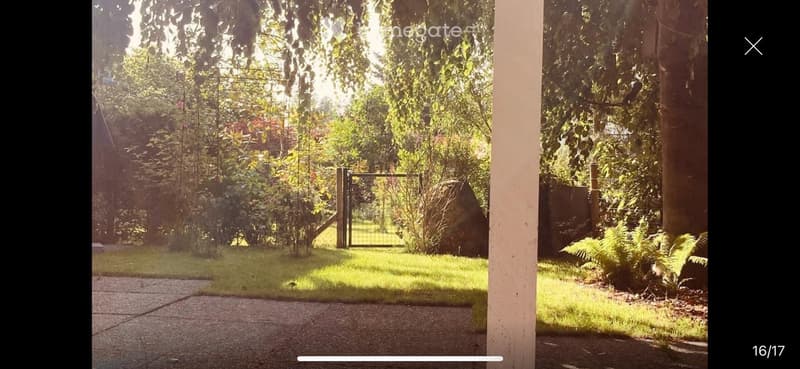 A lush garden area with a variety of trees, shrubs, and a metal gate leading to an open space.