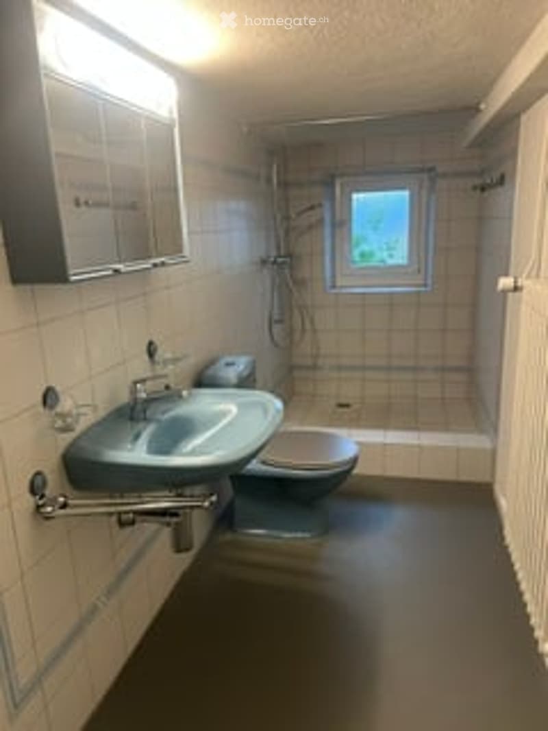 Bathroom with white tiled walls, a sink with a faucet, a toilet, a shower area, and a radiator. A small window provides natural light.