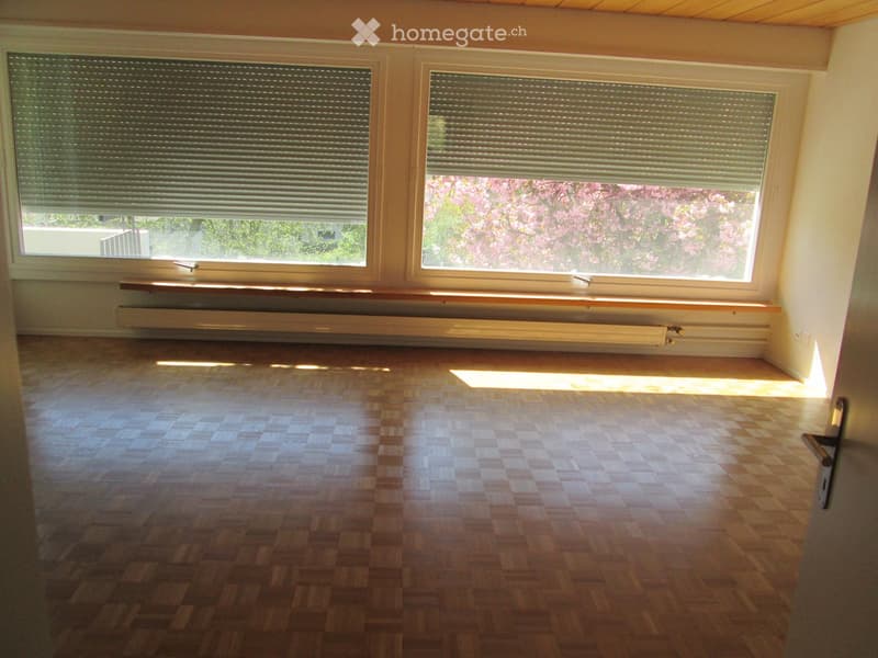 Empty room with wooden flooring, large windows with blinds, and a radiator below the windows.