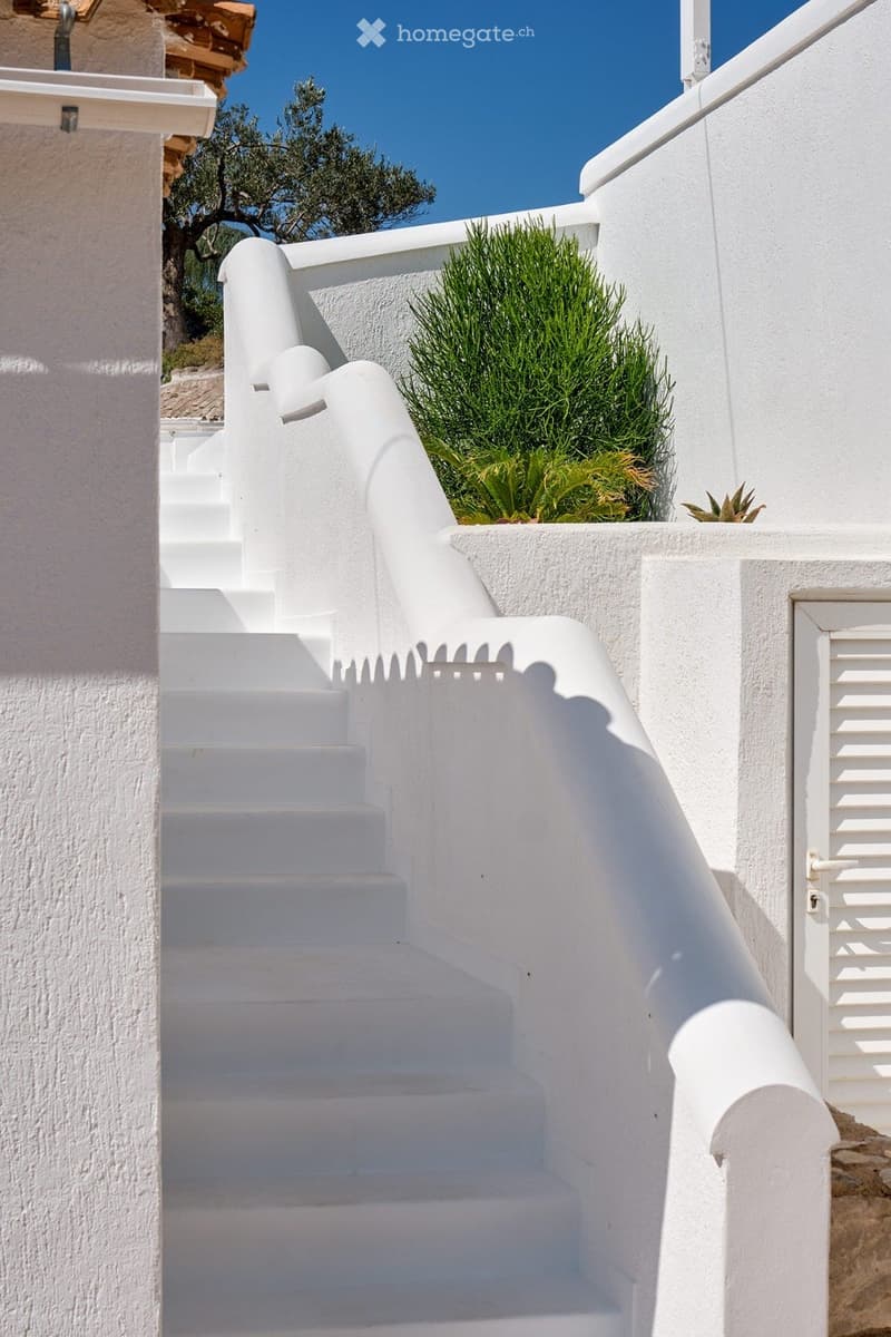 White stone staircase leading up with a small green bush on the side and a tree in the background.