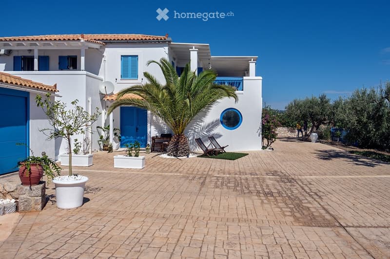 A well-maintained outdoor area with a brick-paved courtyard, a white house with blue shutters, a palm tree, lounge chairs, and potted plants.