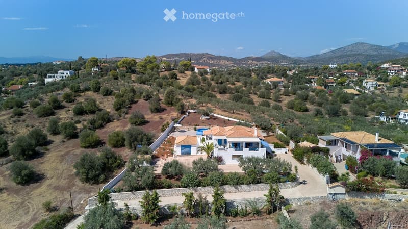 Aerial view of a two-story house with a swimming pool, surrounded by olive trees and other houses in a rural setting.