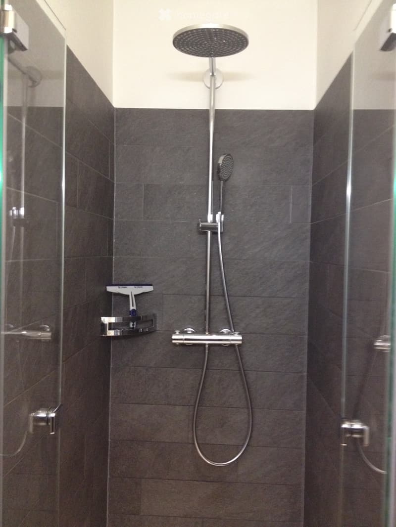 Modern shower area with dark grey tiles, a large overhead shower head, a handheld shower attachment, and a glass-enclosed shower stall.