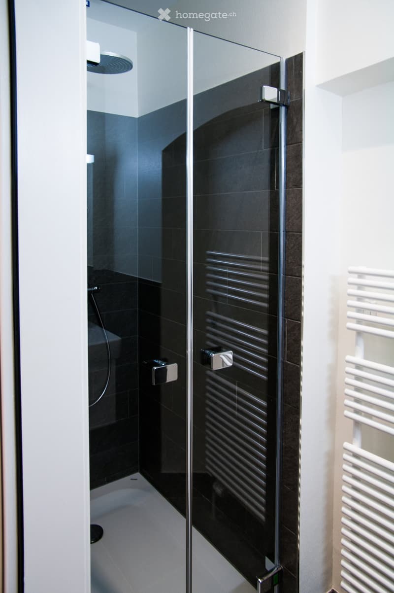 Modern bathroom with a glass-enclosed shower, black tiles, and a white radiator.