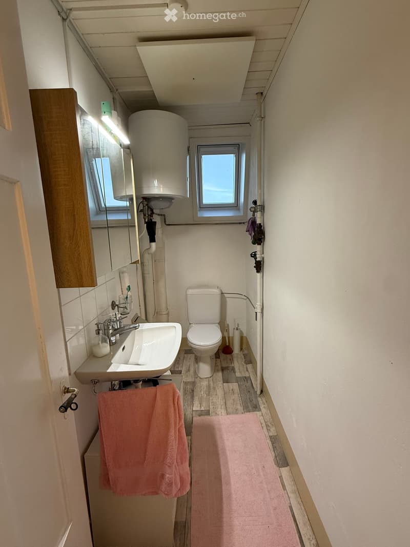 Compact bathroom with a sink, toilet, mirror, and wooden floor. Includes a towel and bathmat.
