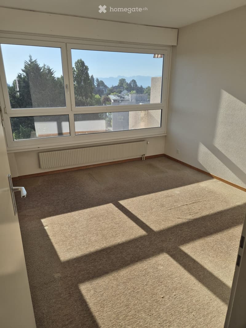 Empty room with carpeted floor, large windows, radiator, and door handle visible.