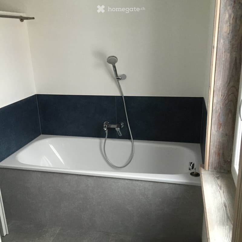 Modern bathroom with a white bathtub, dark grey tiles on the walls, and a grey tiled floor. Features a handheld showerhead and a faucet above the tub.
