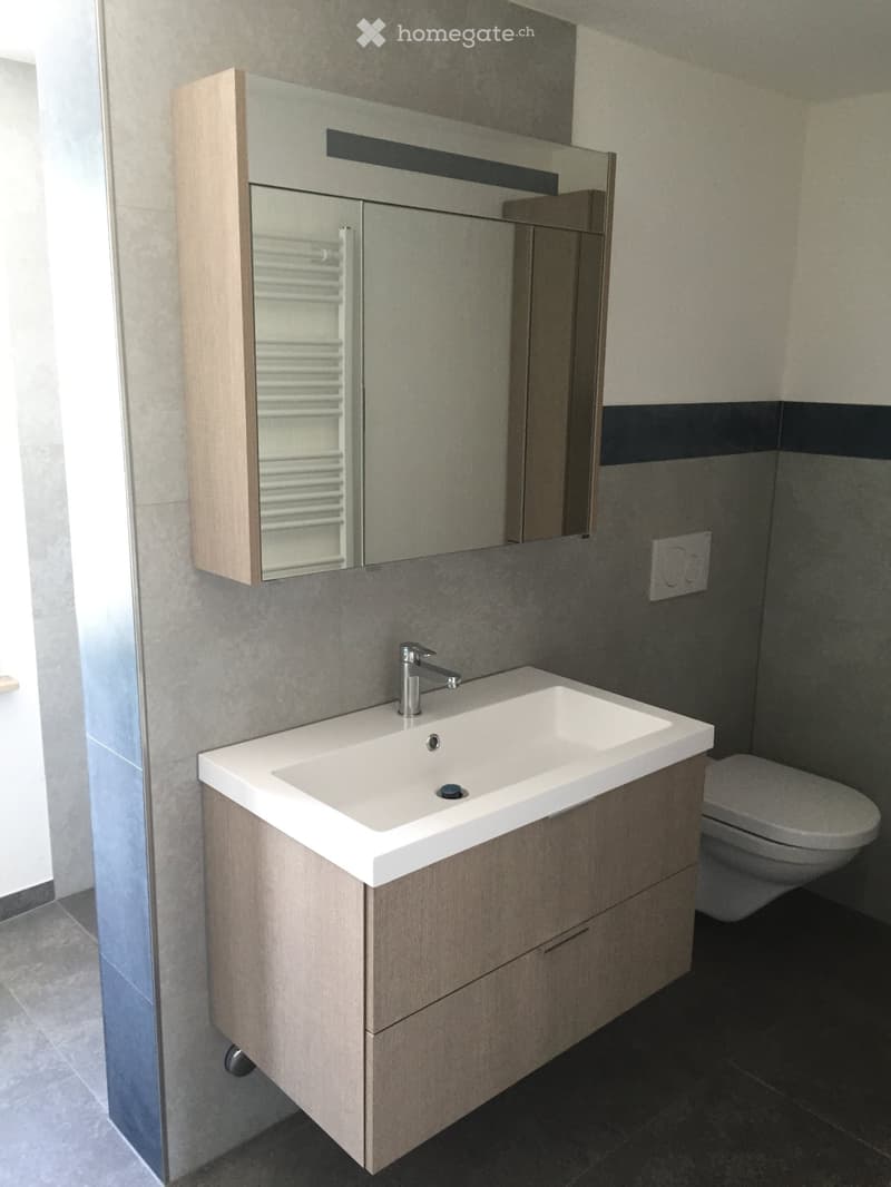 Modern bathroom with a white sink, chrome faucet, wooden cabinet, large mirror, and a toilet.