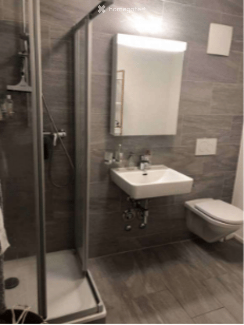 Modern bathroom with a white sink, a large mirror, a toilet, and a glass-enclosed shower. The walls are tiled in a dark gray color, and the floor is covered with light brown tiles.